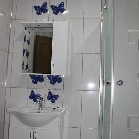 Ξενοδοχείο Emir Palas Hotel 2*